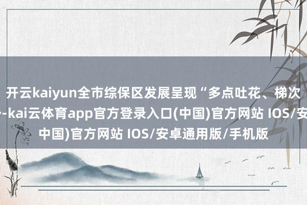 开云kaiyun全市综保区发展呈现“多点吐花、梯次进阶”的雅致态势-kai云体育app官方登录入口(中国)官方网站 IOS/安卓通用版/手机版