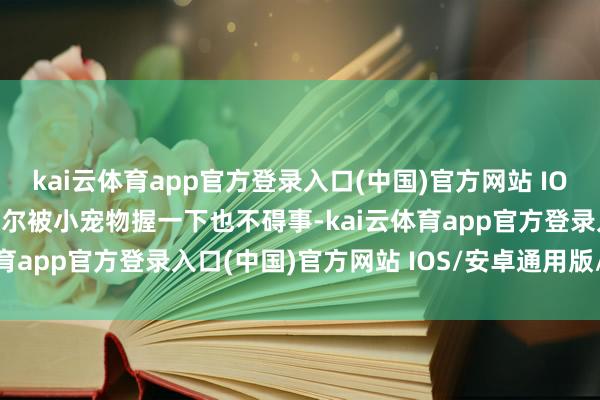 kai云体育app官方登录入口(中国)官方网站 IOS/安卓通用版/手机版偶尔被小宠物握一下也不碍事-kai云体育app官方登录入口(中国)官方网站 IOS/安卓通用版/手机版