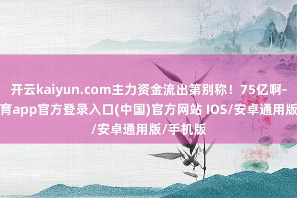 开云kaiyun.com主力资金流出第别称！75亿啊-kai云体育app官方登录入口(中国)官方网站 IOS/安卓通用版/手机版